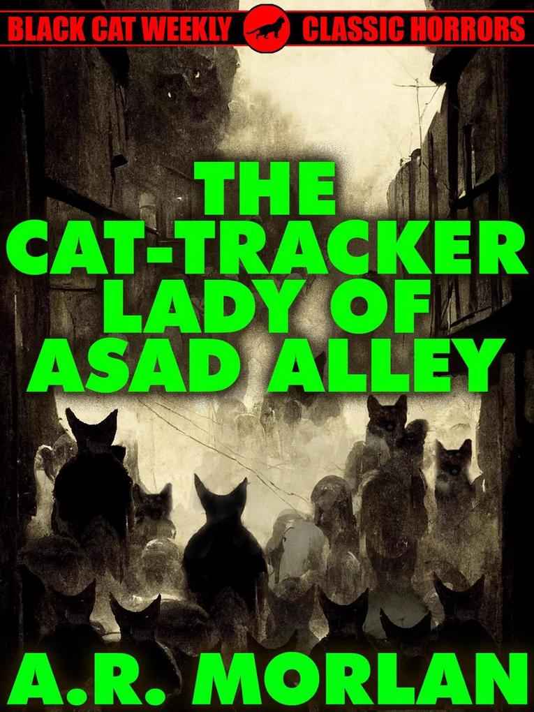 The Cat-Tracker Lady of Asad Alley