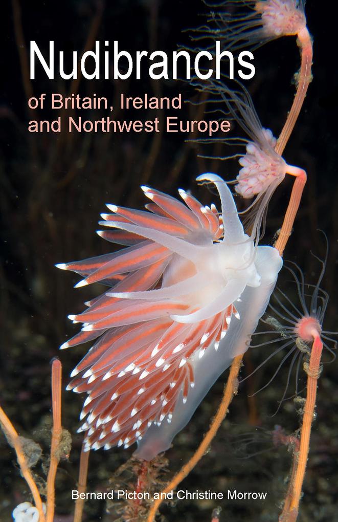 Nudibranchs of Britain Ireland and Northwest Europe