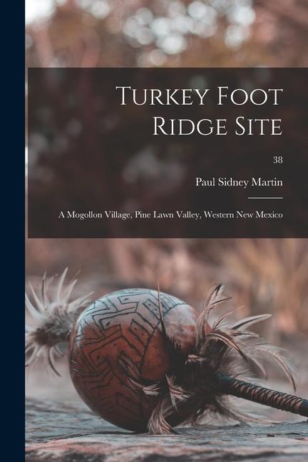 Turkey Foot Ridge Site: a Mogollon Village Pine Lawn Valley Western New Mexico; 38