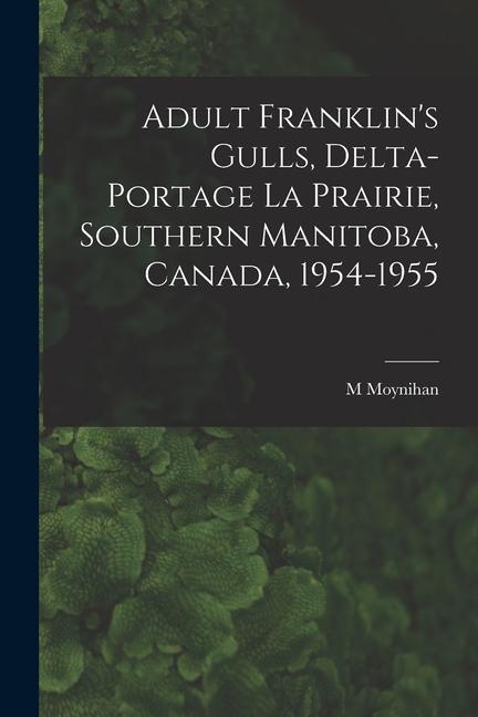 Adult Franklin‘s Gulls Delta-Portage La Prairie Southern Manitoba Canada 1954-1955