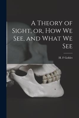 A Theory of Sight or How We See and What We See