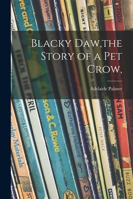 Blacky Daw the Story of a Pet Crow