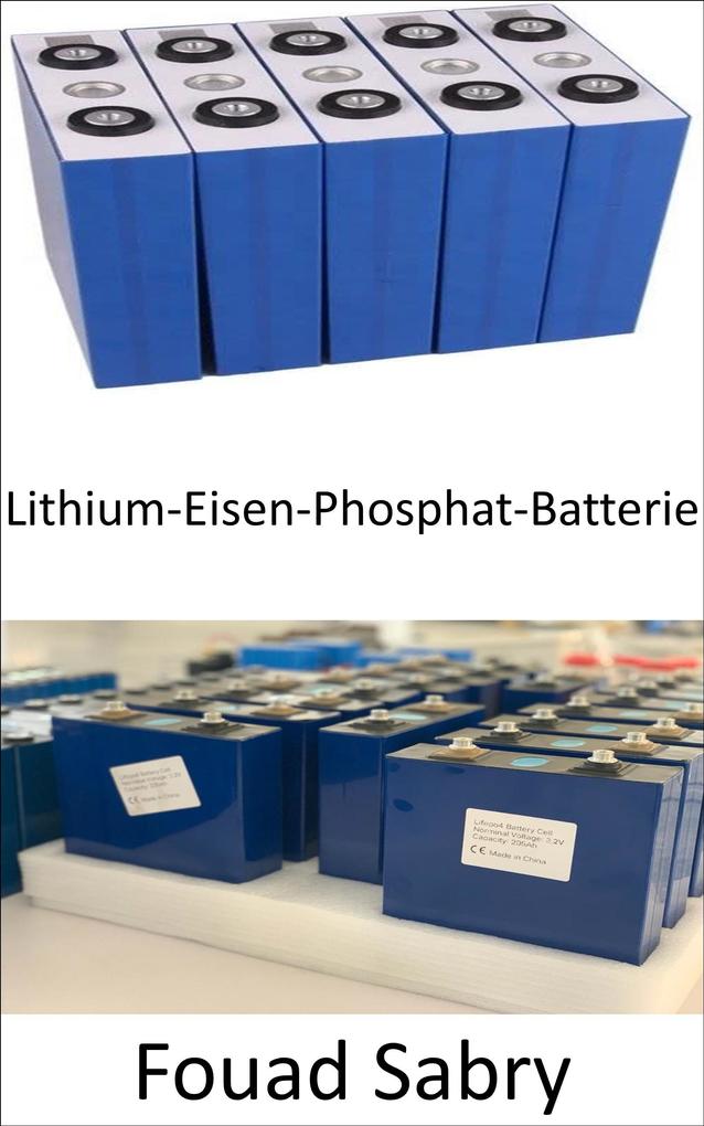 Lithium-Eisen-Phosphat-Batterie