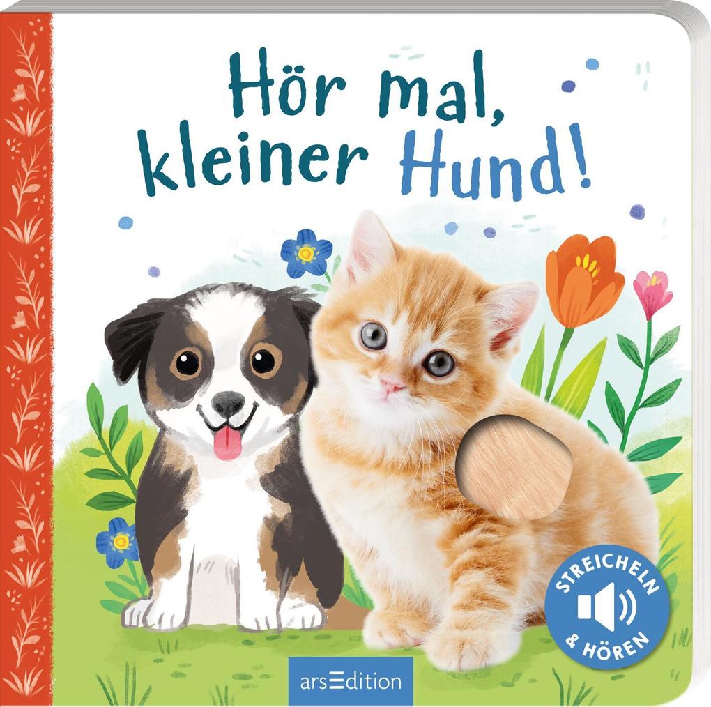 Hör mal kleiner Hund!