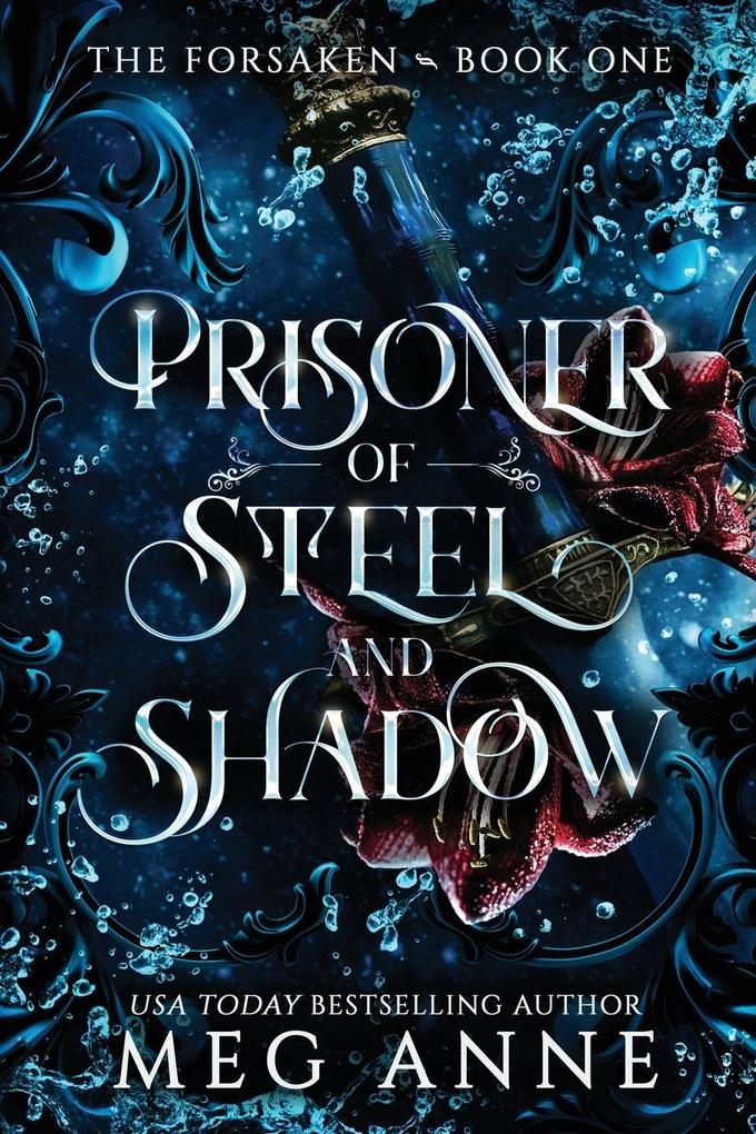 Prisoner of Steel and Shadow