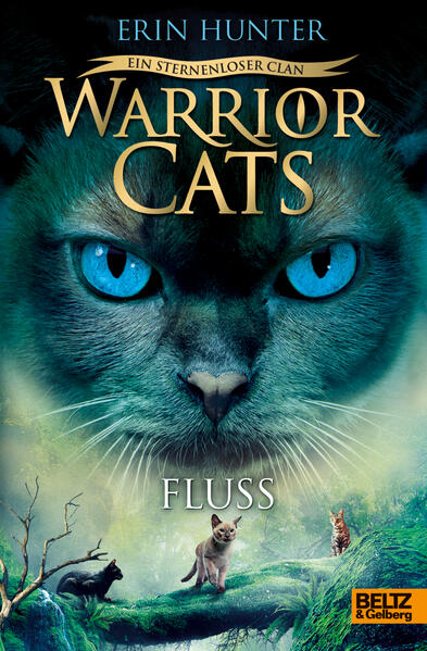 Image of Fluss / Warrior Cats Staffel 8 Bd.1