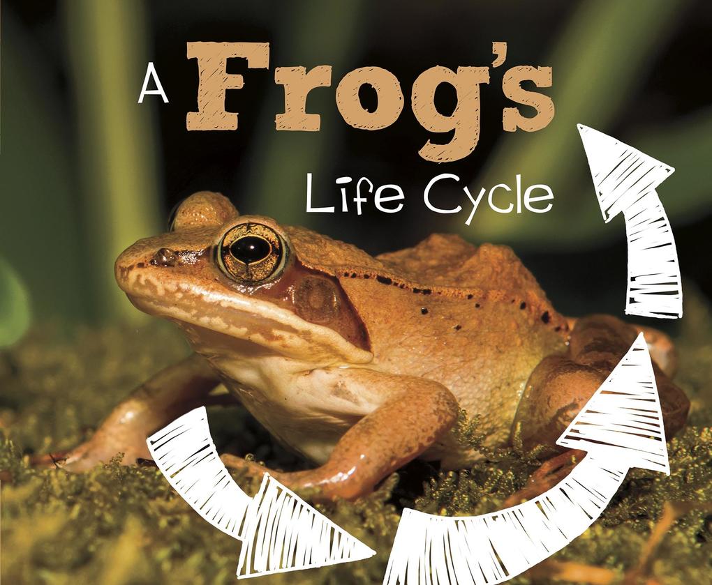 Frog‘s Life Cycle