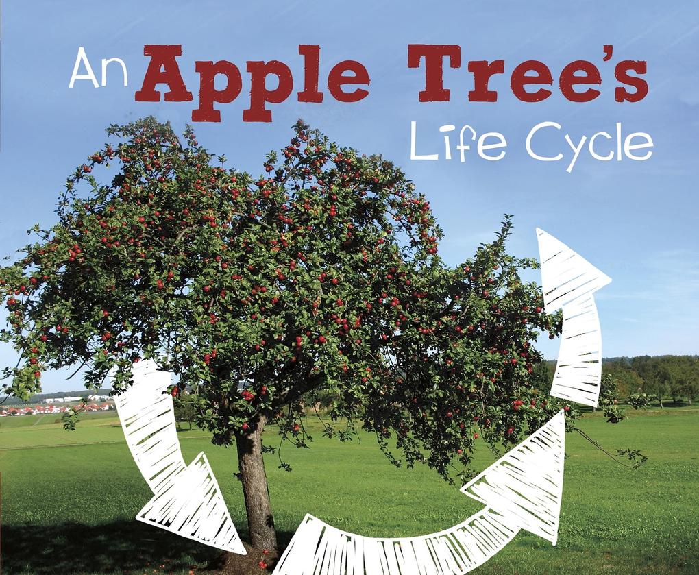 Apple Tree‘s Life Cycle