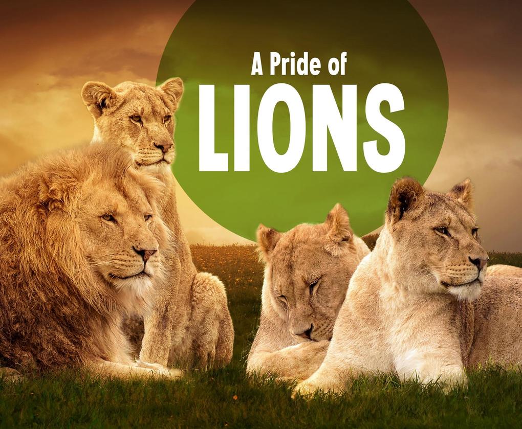 Pride of Lions