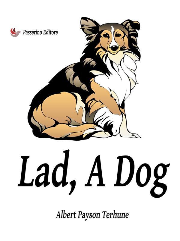 Lad A Dog