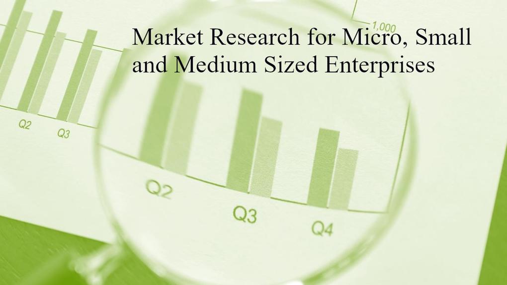 Market Research for Micro Small and Medium Sized Enterprises
