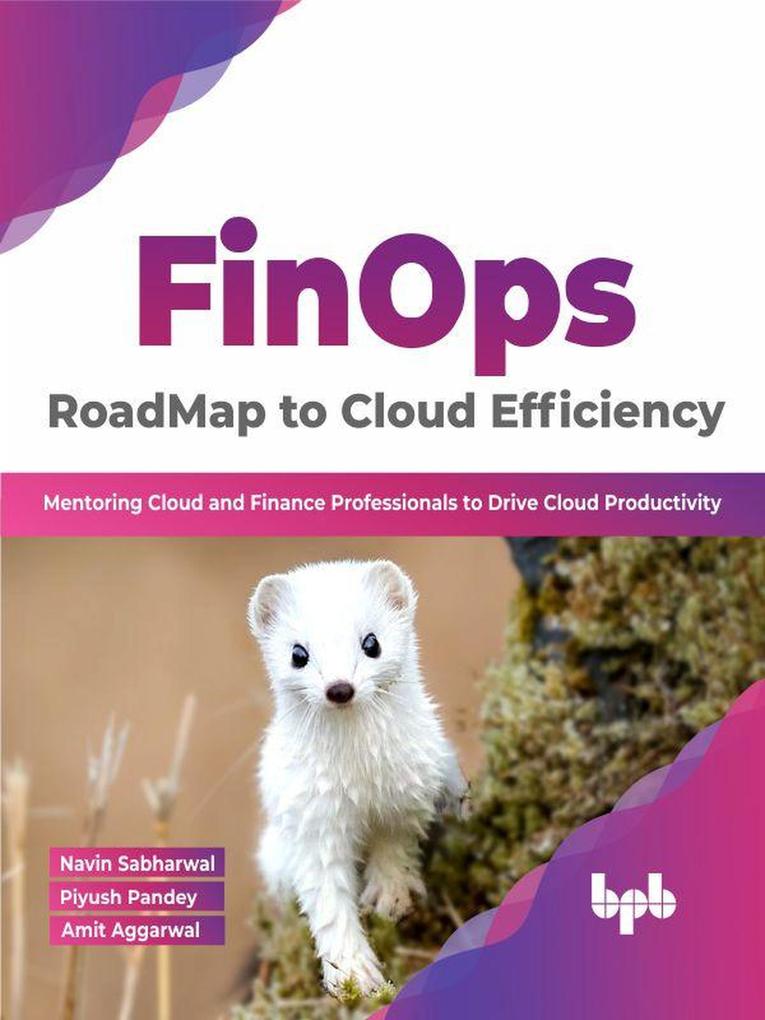 FinOps : RoadMap to Cloud Efficiency: Mentoring Cloud and Finance Professionals to Drive Cloud Productivity (English Edition)