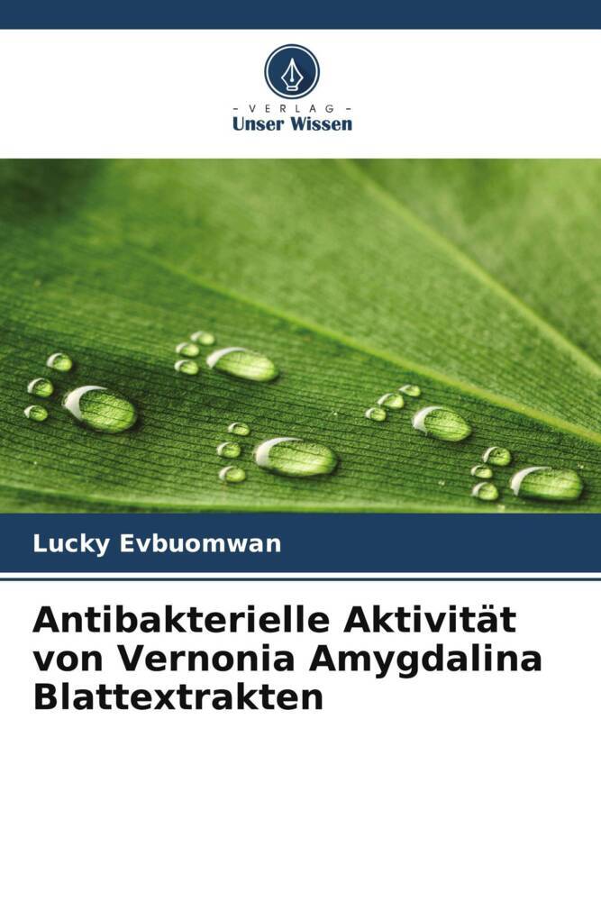 Antibakterielle Aktivität von Vernonia Amygdalina Blattextrakten