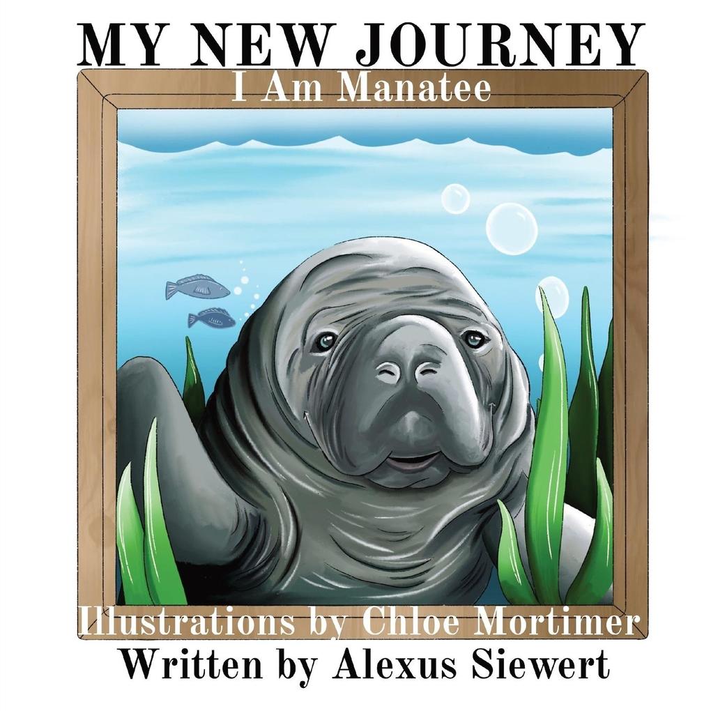 MY NEW JOURNEY