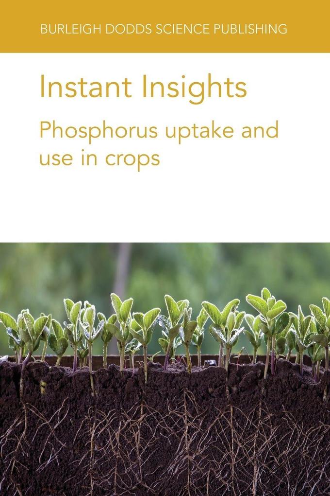 Instant Insights