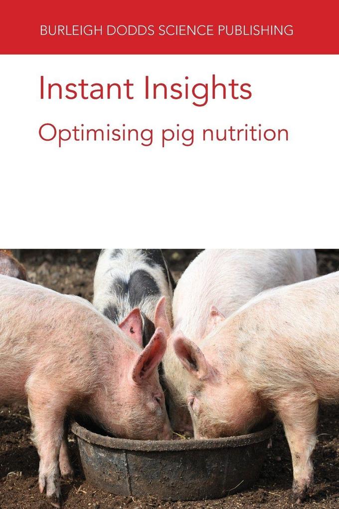 Instant Insights