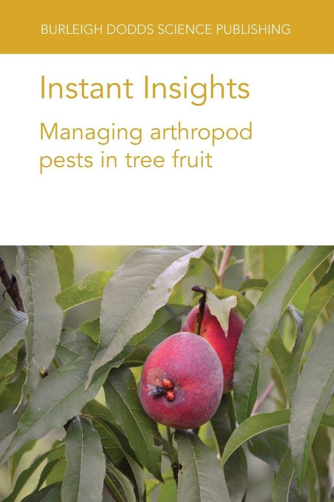 Instant Insights