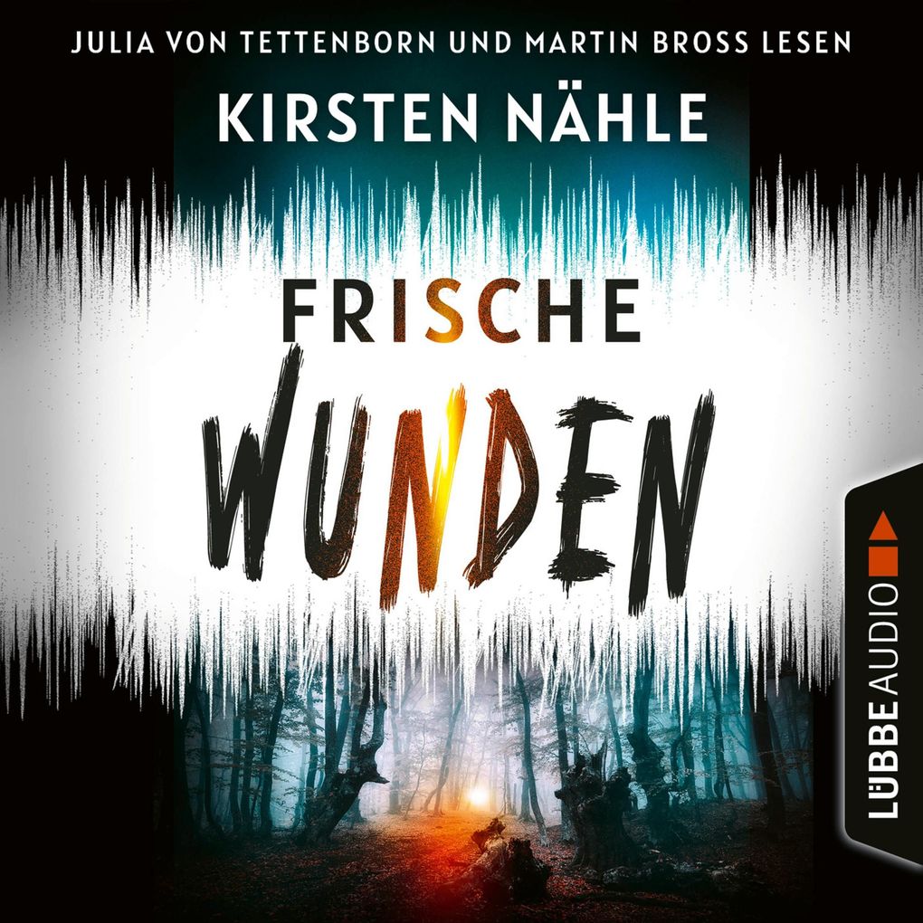Frische Wunden - Ermittlerkrimi mit Stahl und Freund Teil 2