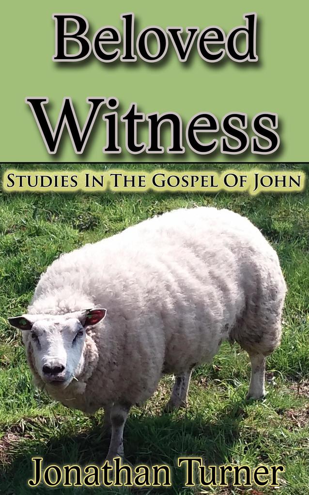 Beloved Witness: Studies In The Gospel Of John