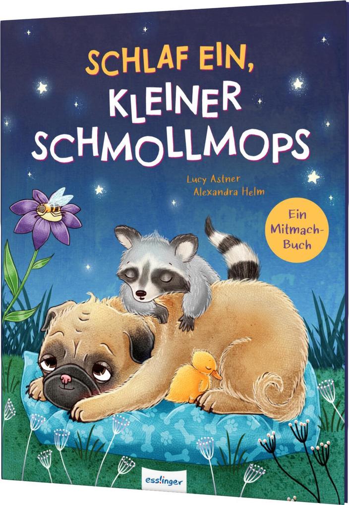 Schlaf ein kleiner Schmollmops