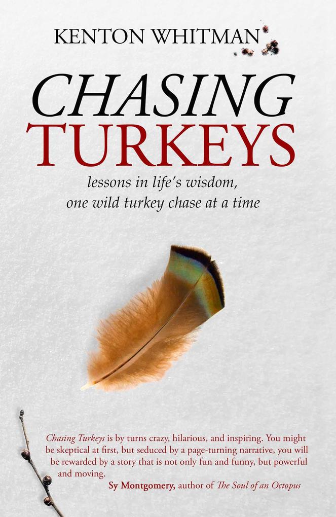 Chasing Turkeys lessons in life‘s wisdom one wild turkey chase at a time