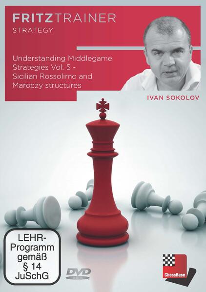 Understanding Middlegame Strategies Vol. 5 DVD-ROM