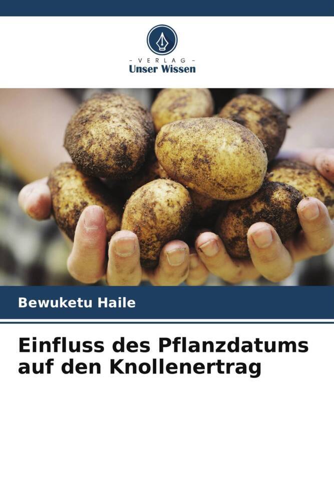 Einfluss des Pflanzdatums auf den Knollenertrag
