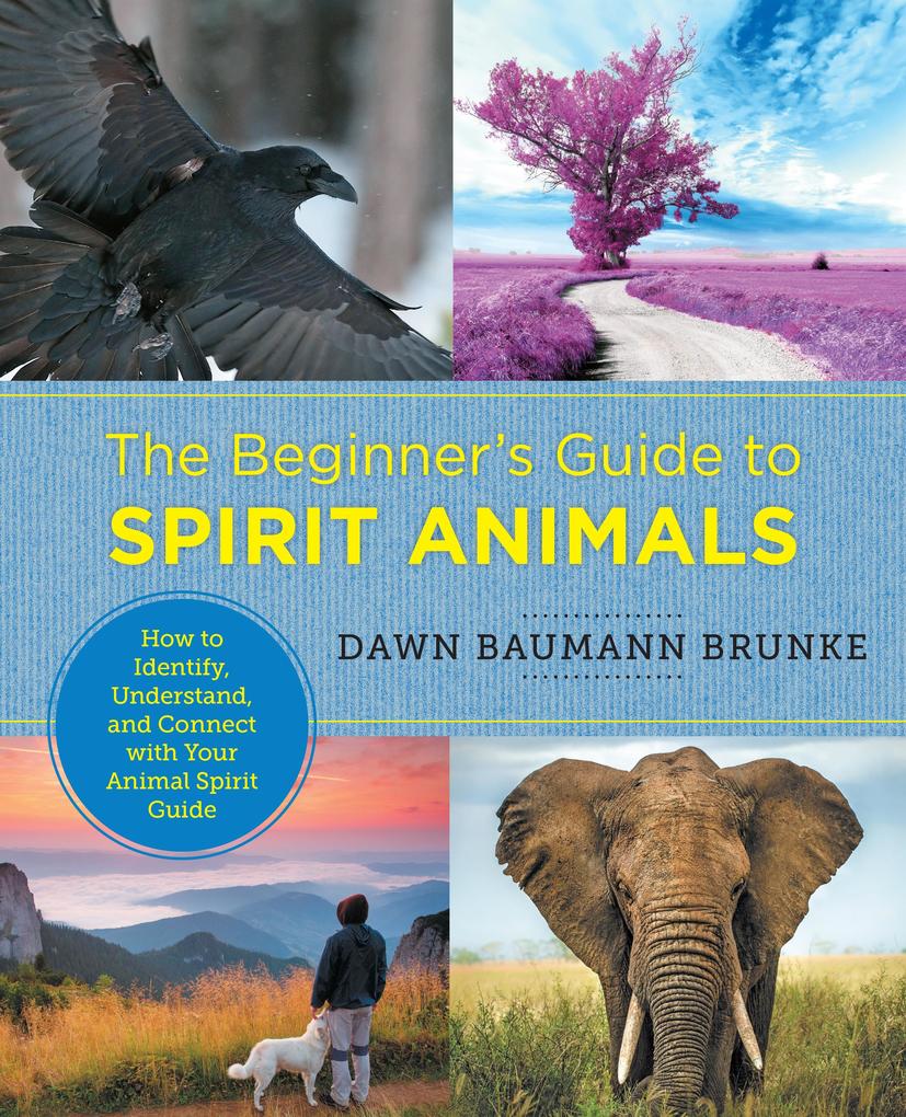 The Beginner‘s Guide to Spirit Animals