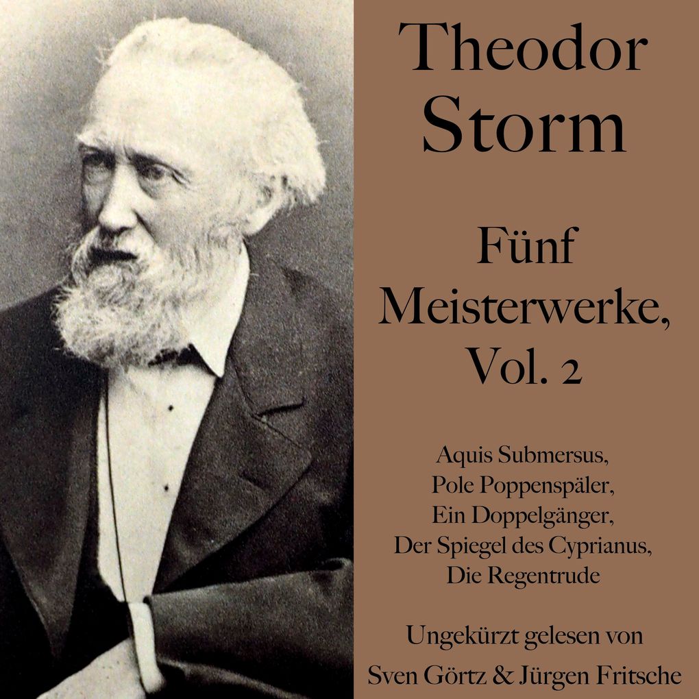 Theodor Storm: Fünf Meisterwerke Vol. 2