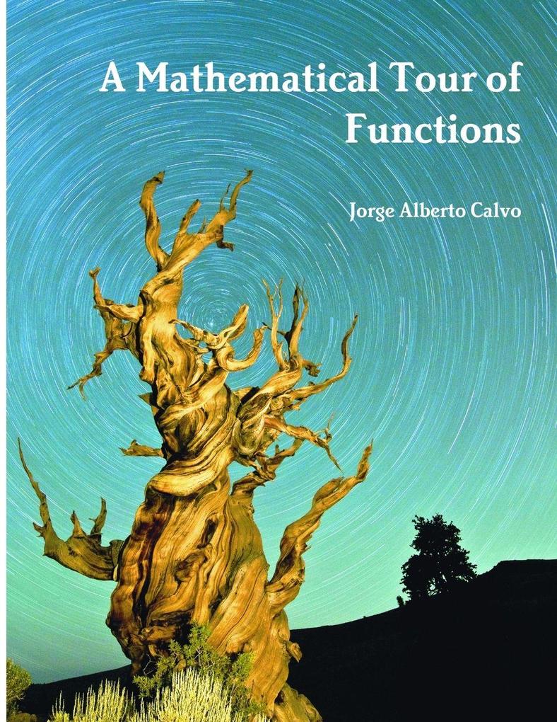 A Mathematical Tour of Functions