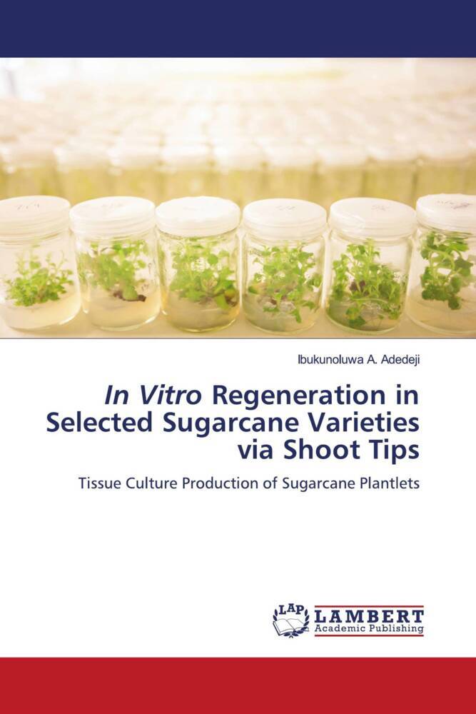In Vitro Regeneration in Selected Sugarcane Varieties via Shoot Tips