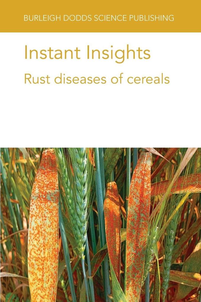 Instant Insights