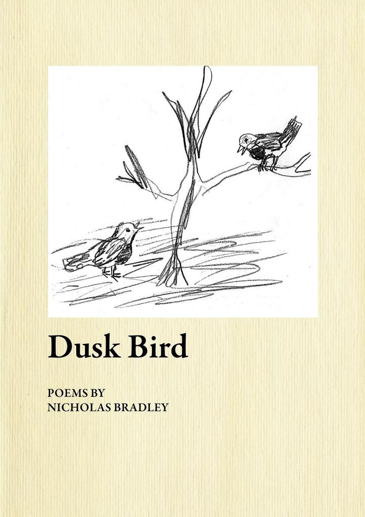 Dusk Bird