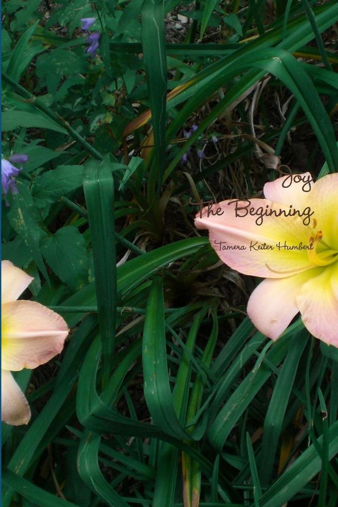 Joy The Beginning