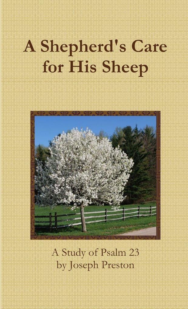 A Shepherd's Care for His Sheep