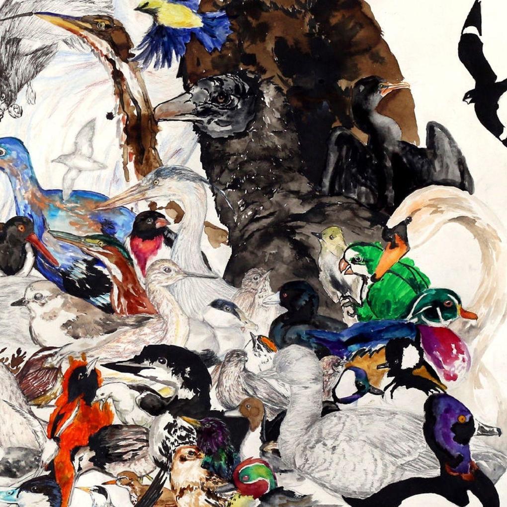 10000 Birds