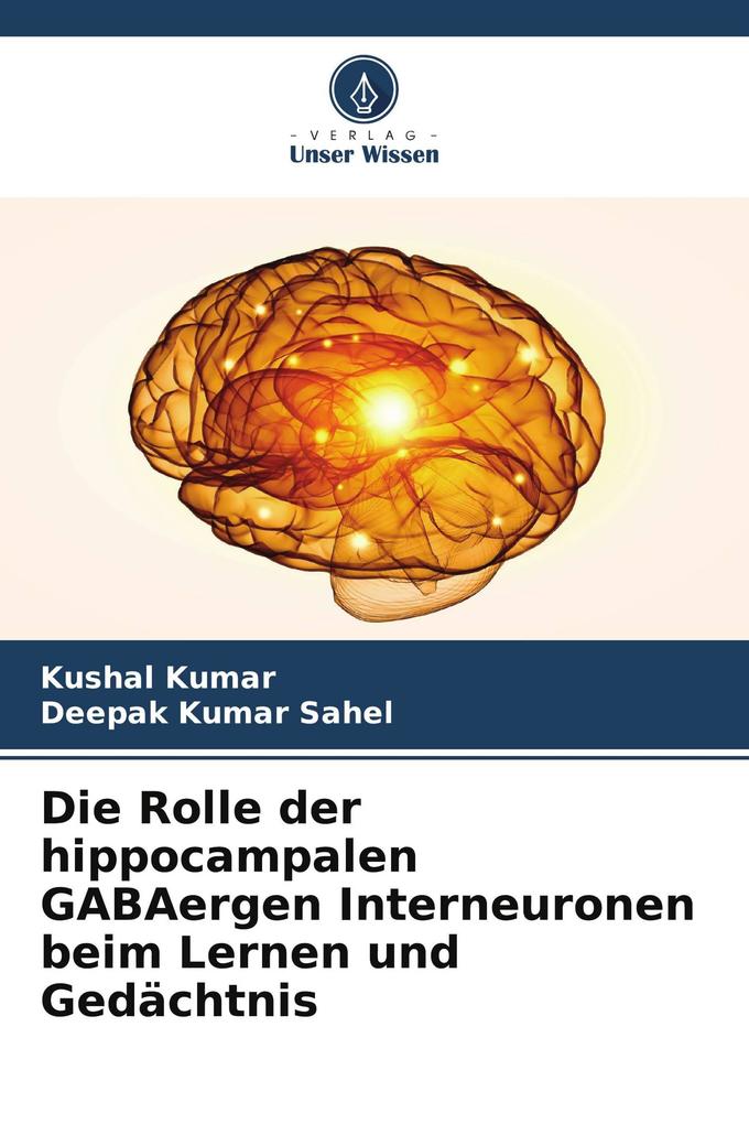 Die Rolle der hippocampalen GABAergen Interneuronen beim Lernen und Gedächtnis