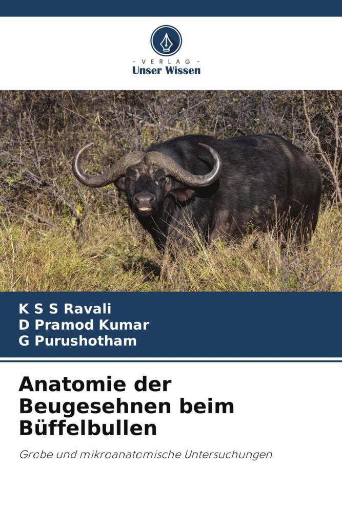 Anatomie der Beugesehnen beim Büffelbullen