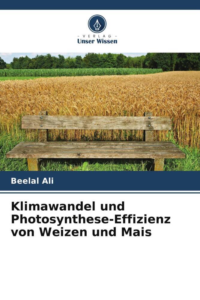 Klimawandel und Photosynthese-Effizienz von Weizen und Mais