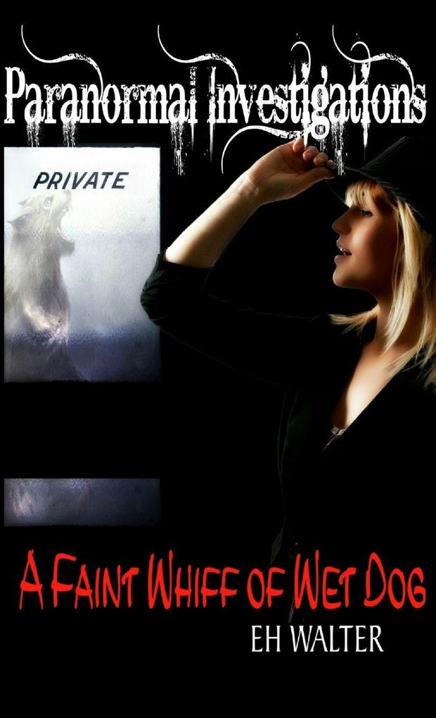 Paranormal Investigations 5