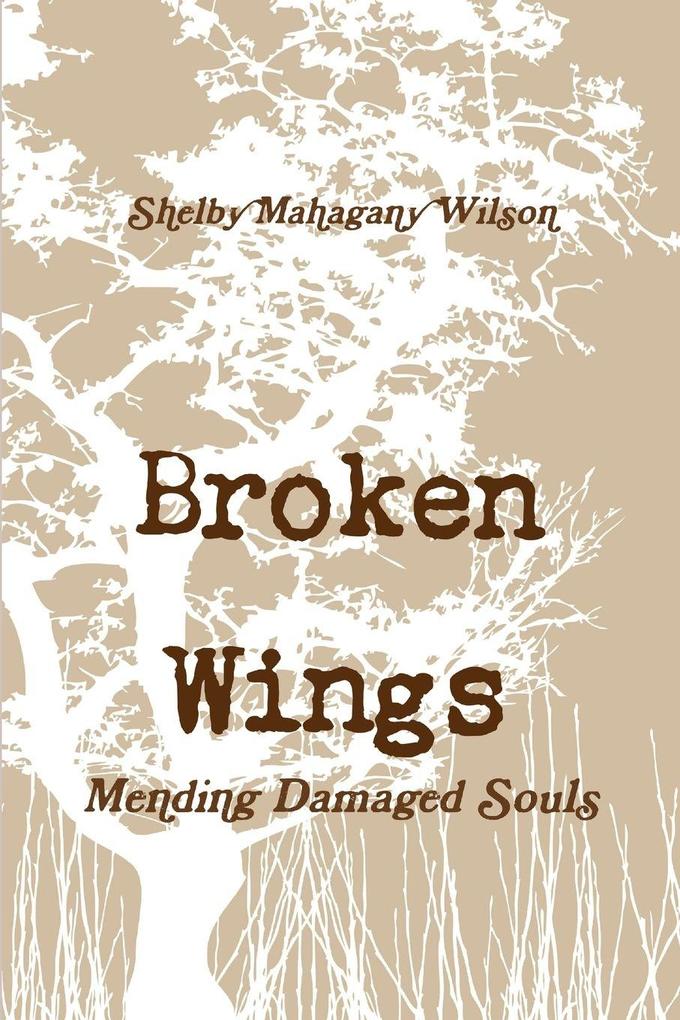Broken Wings Mending Damaged Souls