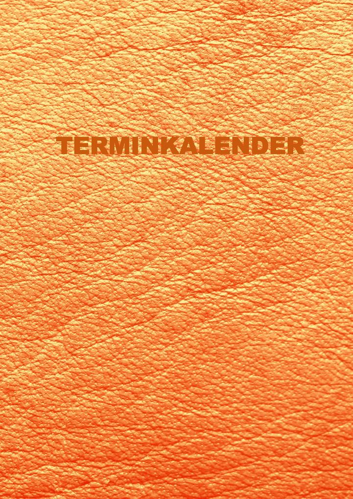 Terminkalender: Undatierter Terminkalender Stundenplan mit 15-Minuten-Intervallen/Undatierter Tagesplaner