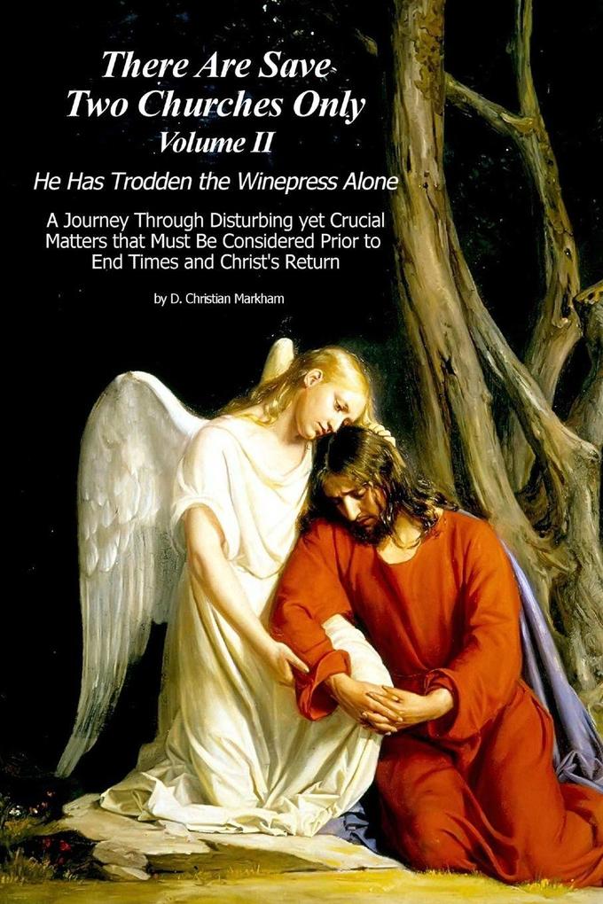 There Are Save Two Churches Only Volume II