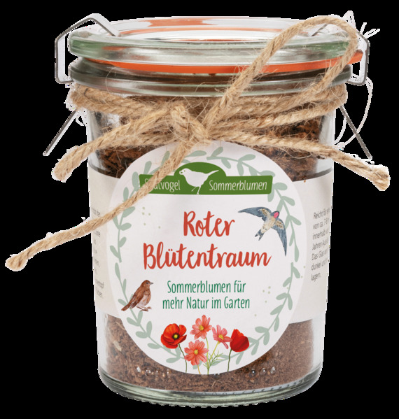 Roter Blütentraum - Sommerblumen für mehr Natur im Garten