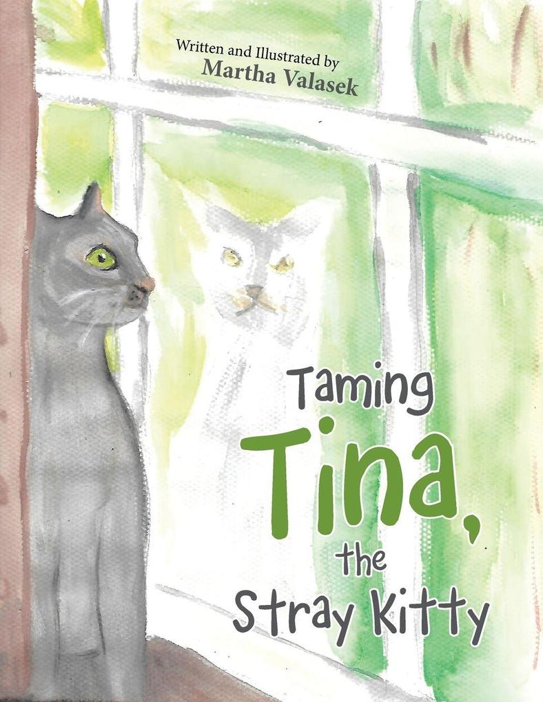 Taming Tina the Stray Kitty