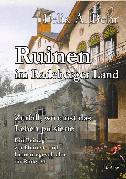 Ruinen im Radeberger Land - Zerfall wo einst das Leben pulsierte - Ein Beitrag zur Heimat- und Industriegeschichte im Rödertal