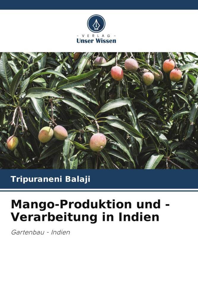 Mango-Produktion und -Verarbeitung in Indien