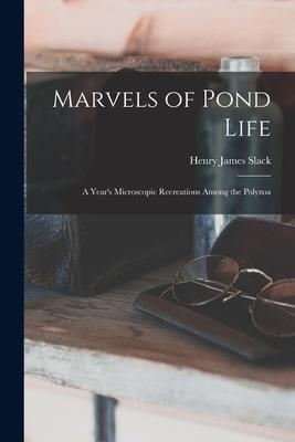 Marvels of Pond Life: A Year‘s Microscopic Recreations Among the Polyzoa