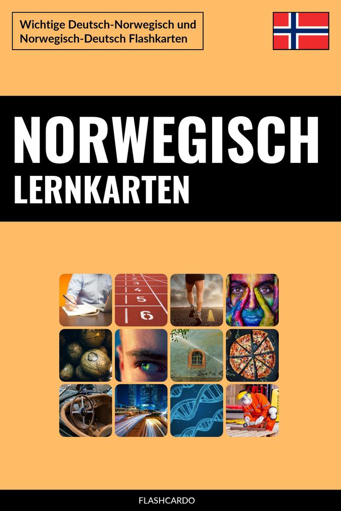 Norwegisch Lernkarten