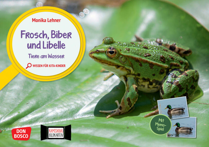 Frosch Biber und Libelle. Tiere am Wasser. Kamishibai Bildkarten und Memo-Spiel